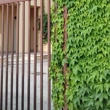 A Casa Di Mimma * Villaggio Mose (Sicily)